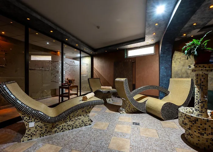 Spa Hotel Holiday 호텔