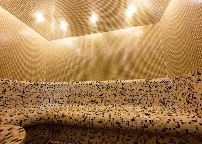 Spa Hotel Holiday 4*